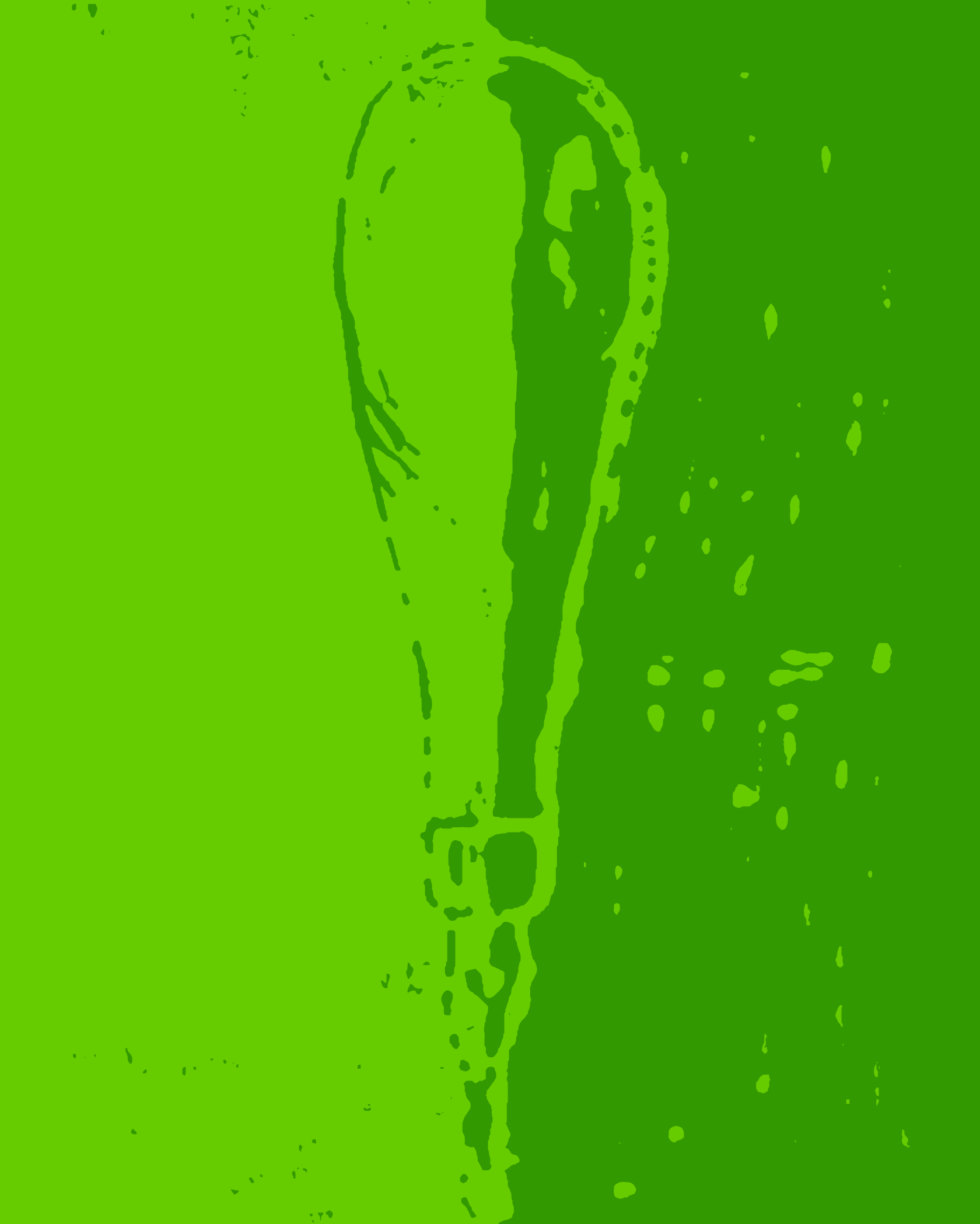 bg_linoschnitt_groen@2x